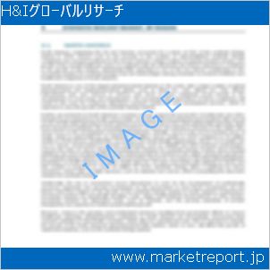 市場と産業調査レポートのイメージ